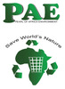 Pae logo copy